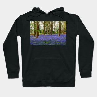 Bluebells Bluebell Woods Greys Court Oxfordshire UK Hoodie